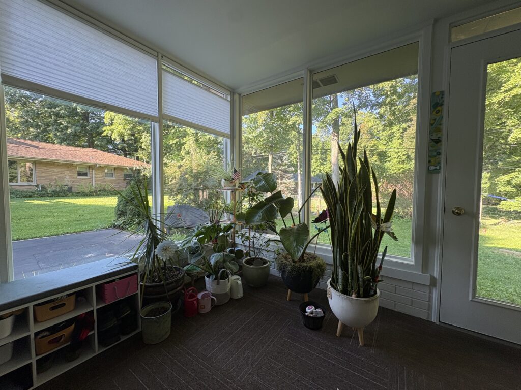 Image1